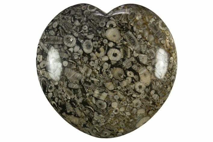 Fossil Crinoid Stems In Marble Heart #311958